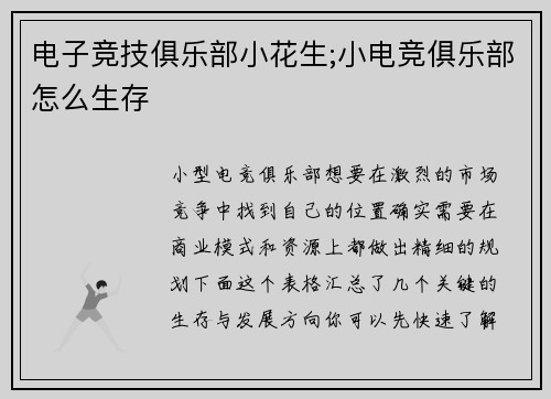 电子竞技俱乐部小花生;小电竞俱乐部怎么生存